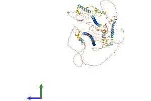 AlphaFold protein structure predicition of Human Recombinant TRAK1 Protein, UniprotID Q9UPV9