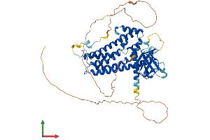 Protein Structure (PS) image for rho Guanine Nucleotide Exchange Factor (GEF) 3 (ARHGEF3) (AA 1-524) protein (His tag) (ABIN7560069)