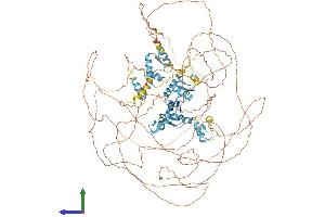 AlphaFold protein structure predicition of Human Recombinant REST Protein, UniprotID Q13127