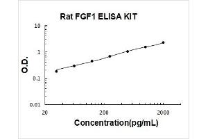 Rat FGF1 PicoKine ELISA Kit standard curve