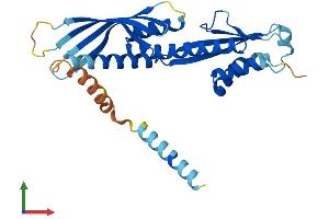 Protein Structure (PS) image for Centromere Protein P (CENPP) (AA 1-288) protein (His tag) (ABIN7553416)