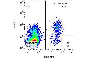 Flow cytometry analysis of Surface staining of human peripheral blood using CD73 Antibody (FITC). (CD73 抗体  (FITC))