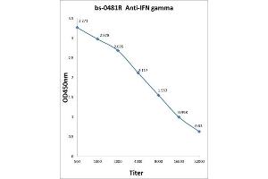 Antigen: 0. (Interferon gamma 抗体  (AA 81-166))