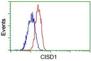 Flow cytometric Analysis of Jurkat cells, using anti-CISD1 antibody (ABIN2452906), (Red), compared to a nonspecific negative control antibody (ABIN2452906), (Blue). (CISD1 抗体)