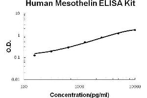 Human Mesothelin PicoKine ELISA Kit standard curve (Mesothelin ELISA 试剂盒)