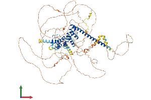 Protein Structure (PS) image for Synuclein, alpha Interacting Protein (SNCAIP) (AA 1-919) protein (His tag) (ABIN7555588)