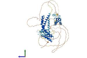 Protein Structure (PS) image for Elongation Factor, RNA Polymerase II, 2 (ELL2) (AA 1-640) protein (His tag) (ABIN7553792)