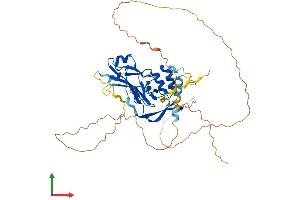 Protein Structure (PS) image for T-Box 20 (TBX20) (AA 1-447) protein (His tag) (ABIN7544329)