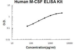 Human M-CSF PicoKine ELISA Kit standard curve (M-CSF/CSF1 ELISA 试剂盒)