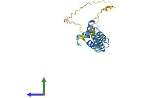Protein Structure (PS) image for Biorientation of Chromosomes in Cell Division 1 (BOD1) (AA 1-185) protein (His tag) (ABIN7552768)