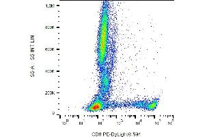 Flow cytometry analysis (surface staining) of human peripheral blood using anti-human CD8 (clone MEM-31) PE-Dylight® 594. (CD8 抗体  (PE-DyLight 594))