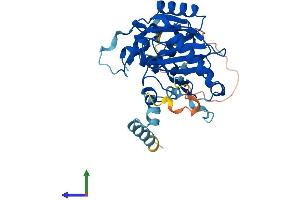 Protein Structure (PS) image for Cell Division Cycle 123 Homolog (CDC123) (AA 1-336) protein (His tag) (ABIN7553218)