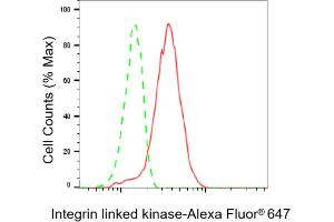 Flow cytometric analysis of Integrin linked kinase expression in C2C12 cells using Integrin linked kinase antibody (ABIN7799075), 1:2,000). (Recombinant ILK 抗体)