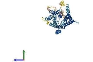 Protein Structure (PS) image for Solute Carrier Family 39 (Zinc Transporter), Member 1 (SLC39A1) (AA 1-324) protein (His tag) (ABIN7545949)