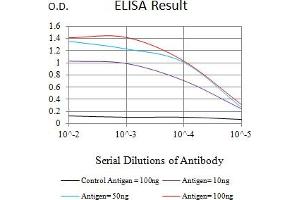 Black line: Control Antigen (100 ng),Purple line: Antigen (10 ng), Blue line: Antigen (50 ng), Red line:Antigen (100 ng) (MTA1 抗体  (AA 541-715))