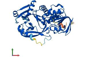 Protein Structure (PS) image for Pipecolic Acid Oxidase (PIPOX) (AA 1-390) protein (His tag) (ABIN7561111)