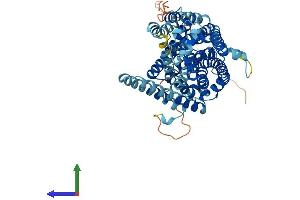 Protein Structure (PS) image for Solute Carrier Family 11 (Proton-Coupled Divalent Metal Ion Transporters), Member 2 (SLC11A2) (AA 1-568) protein (His tag) (ABIN7554763)