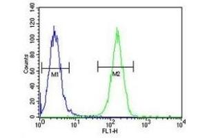 XRCC6 antibody flow cytometric analysis of A2058 cells (green) compared (XRCC6 抗体  (AA 521-548))