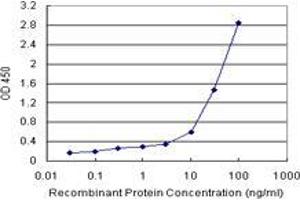 Sandwich ELISA detection sensitivity ranging from 10 ng/mL to 100 ng/mL. (BCAP29 (人) Matched Antibody Pair)