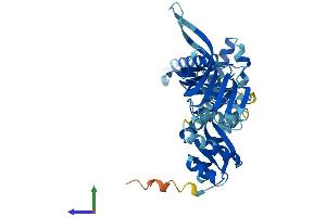 AlphaFold protein structure predicition of Mouse Recombinant Pelo Protein, UniprotID Q80X73