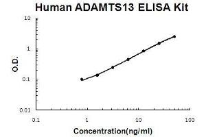 Human ADAMTS13 PicoKine ELISA Kit standard curve (ADAMTS13 ELISA 试剂盒)