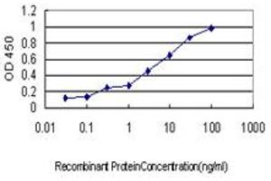 Detection limit for recombinant GST tagged KRIT1 is approximately 0. (KRIT1 抗体  (AA 637-736))