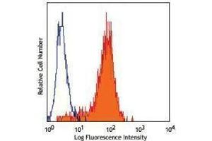 Flow Cytometry (FACS) image for anti-Cadherin 2 (CDH2) antibody (PE) (ABIN2666423) (N-Cadherin 抗体  (PE))