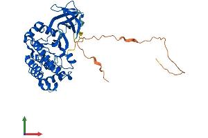 Protein Structure (PS) image for Vaccinia Related Kinase 1 (VRK1) (AA 1-396) protein (His tag) (ABIN7556015)