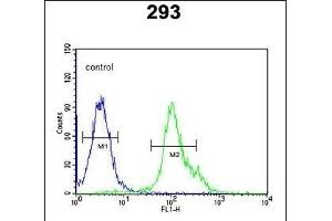 NXPH1 Antibody (N-term) (ABIN653496 and ABIN2842909) flow cytometric analysis of 293 cells (right histogram) compared to a negative control cell (left histogram). (Neurexophilin 1 抗体  (N-Term))