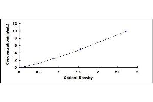 Typical standard curve (Oxytocin Receptor ELISA 试剂盒)