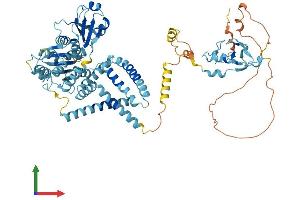 Protein Structure (PS) image for Ring Finger Protein 103 (RNF103) (AA 1-683) protein (His tag) (ABIN7556228)