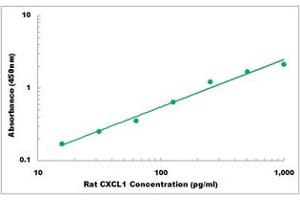 Representative Standard Curve (CXCL1 ELISA 试剂盒)