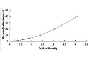 Typical standard curve (COL6A1 ELISA 试剂盒)