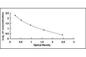 ELISA image for Cross Linked N-Telopeptide of Type I Collagen (NTX-I) ELISA Kit (ABIN414600)