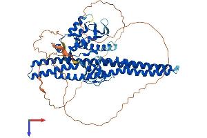 SNX18 Protein (AA 1-614) (His tag)