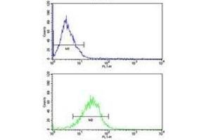 Bid antibody flow analysis of MCF-7 cells (bottom histogram) compared to a negative control (top histogram). (BID 抗体  (AA 39-68))