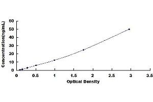 Typical standard curve (Laminin alpha 1 ELISA 试剂盒)