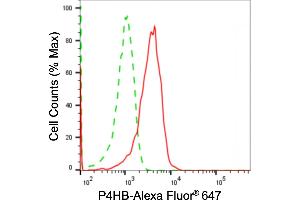 Flow cytometric analysis of P4HB expression in HepG2 cells using P4HB antibody (ABIN7799919), 1:2,000). (P4HB 抗体)