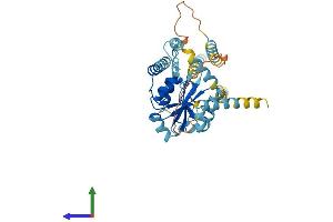 AlphaFold protein structure predicition of Mouse Recombinant Atxn3 Protein, UniprotID Q9CVD2