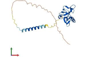 Protein Structure (PS) image for Killer Cell Lectin-Like Receptor Subfamily K, Member 1 (KLRK1) (AA 1-232) protein (His tag) (ABIN7562401)