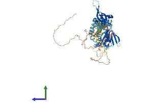 Protein Structure (PS) image for Cyclin M3 (CNNM3) (AA 1-707) protein (His tag) (ABIN7546571)