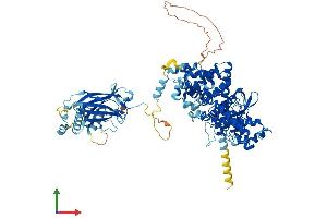 AlphaFold protein structure predicition of Human Recombinant PIK3C3 Protein, UniprotID Q8NEB9