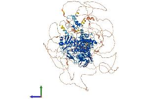Protein Structure (PS) image for Zinc Finger, CCHC Domain Containing 11 (ZCCHC11) (AA 1-1644) protein (His tag) (ABIN7562061)