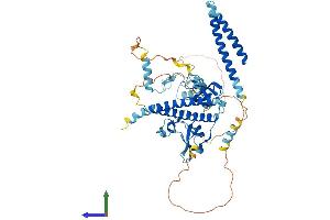 Protein Structure (PS) image for Zinc Finger, CCCH-Type with G Patch Domain (ZGPAT) (AA 1-531) protein (His tag) (ABIN7556075)