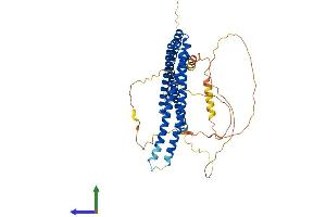 Protein Structure (PS) image for SH3-Domain Binding Protein 5 (SH3BP5) (AA 1-463) protein (His tag) (ABIN7556373)