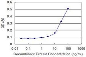 Detection limit for recombinant GST tagged RHOC is approximately 3ng/ml as a capture antibody. (RHOC 抗体  (AA 1-193))
