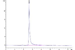 The purity of Biotinylated Human Claudin 18. (Claudin 18.2 (AA 1-261) (Active) protein-VLP (Biotin))
