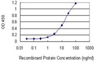 Detection limit for recombinant GST tagged HTR1E is 0. (Serotonin Receptor 1E 抗体  (AA 206-276))