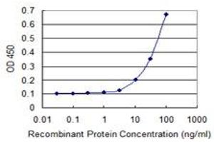 Detection limit for recombinant GST tagged TUBD1 is 3 ng/ml as a capture antibody. (TUBD1 抗体  (AA 354-453))
