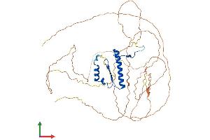 Protein Structure (PS) image for Serum Response Factor (SRF) (AA 1-508) protein (His tag) (ABIN7546440)
